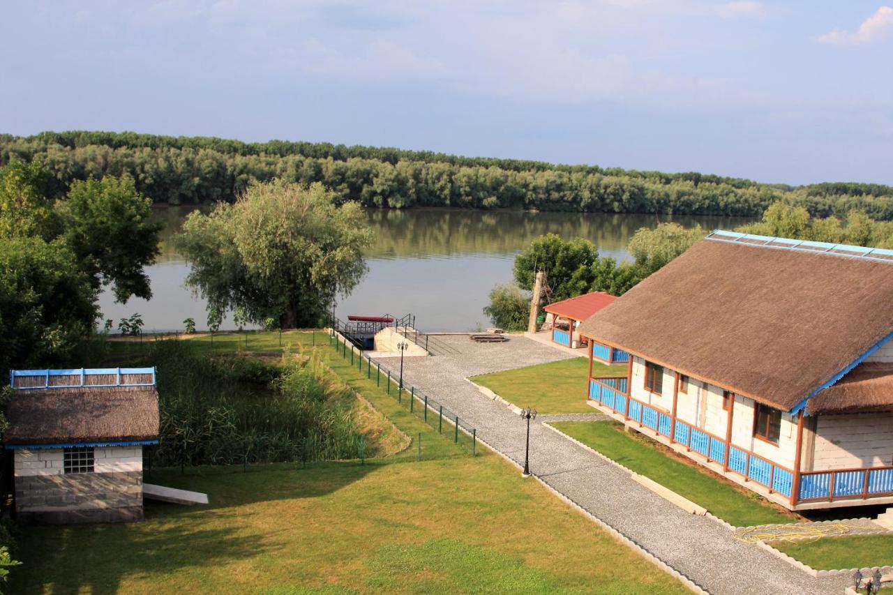Camere De Inchiriat Baltenii De Sus Экстерьер фото
